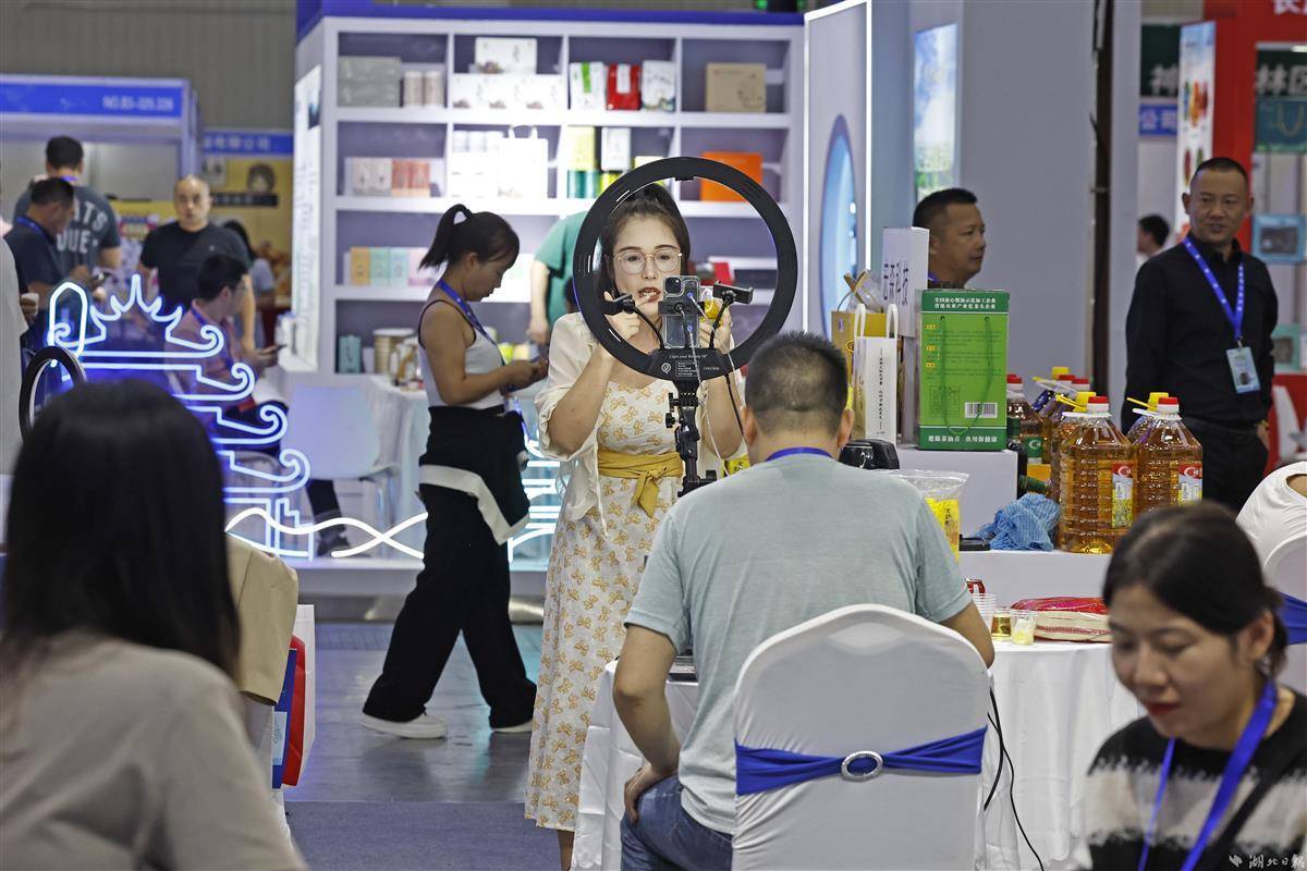 游戏鹰官网是哪个